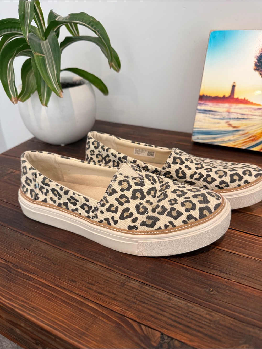 Tom’s Leopard Print Slip-On Sneakers